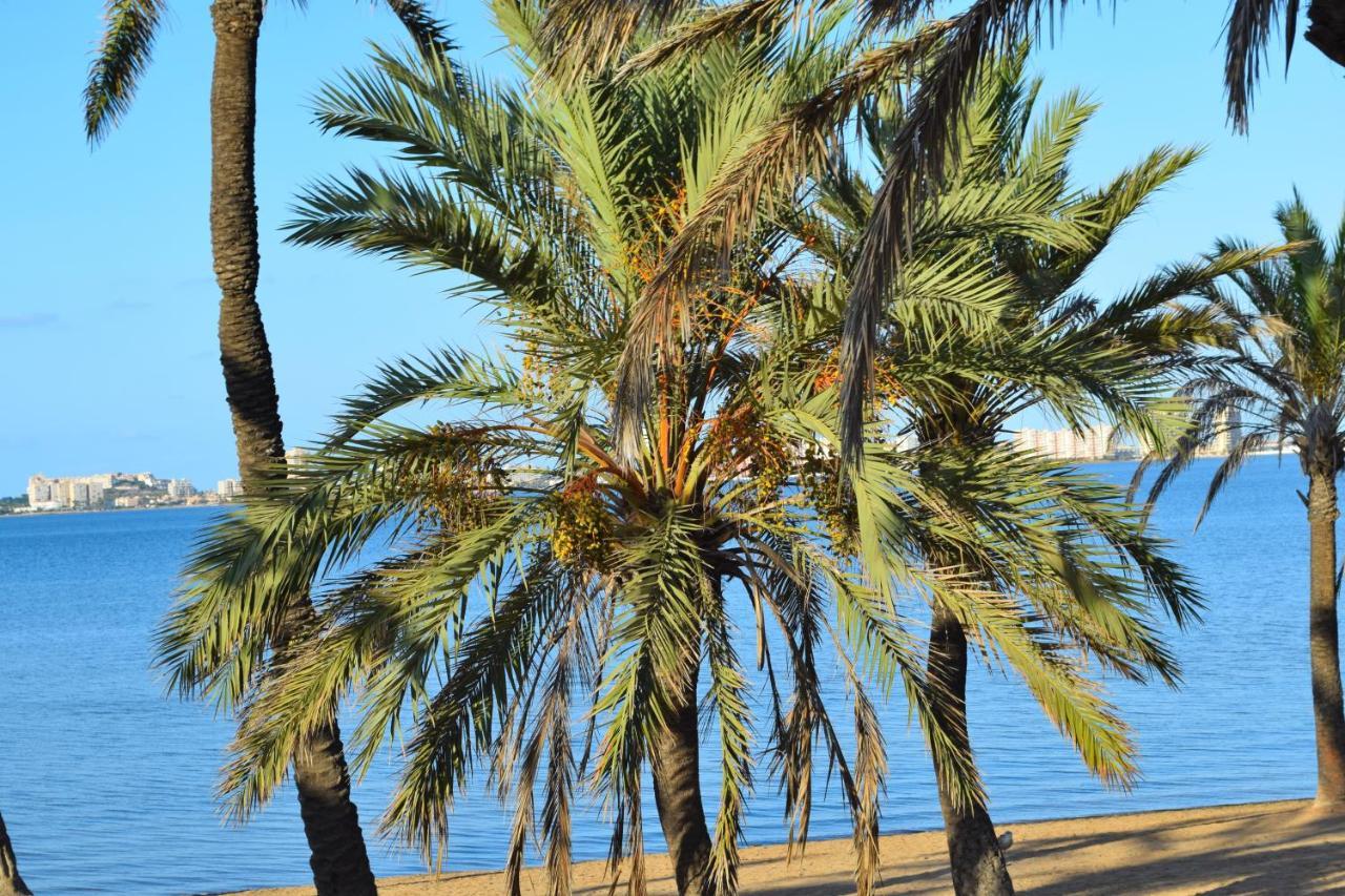 Casita Movil En Camping De La Manga Hotel Eksteriør billede